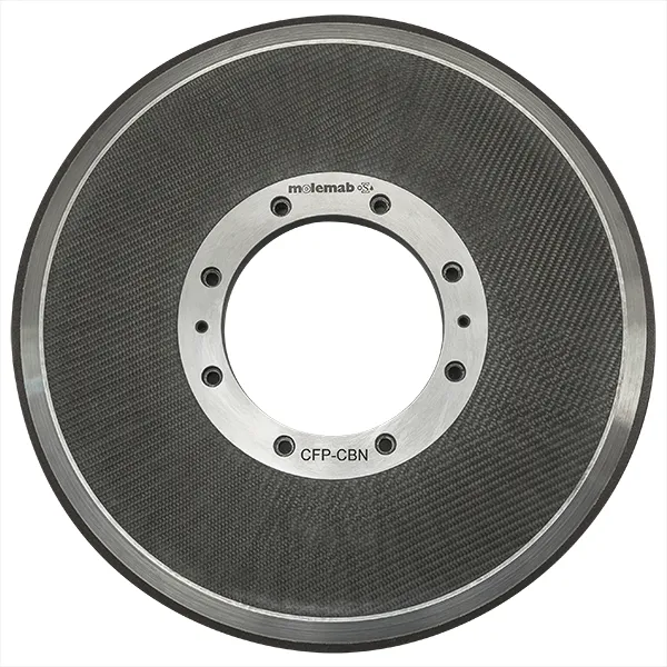 Corpi mola in fibra di carbonio - Molemab Spa