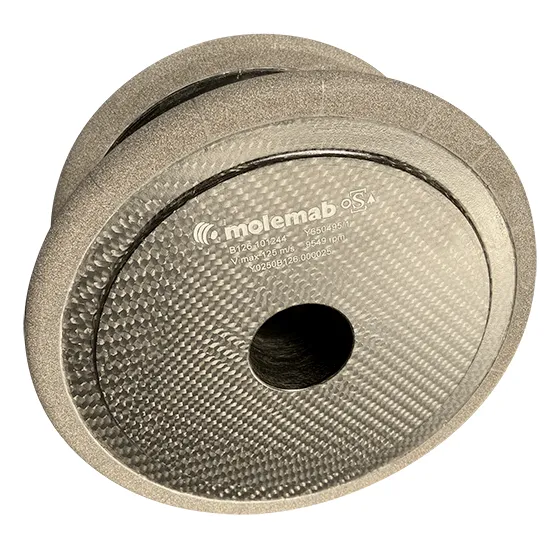 Mole per la rettifica delle protesi - Molemab Spa